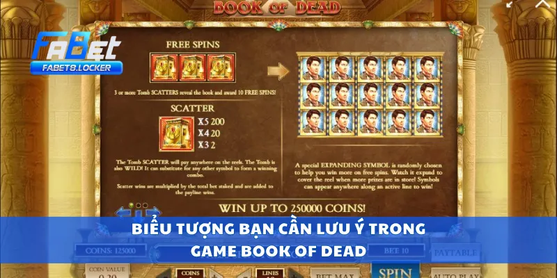 Book of Dead – Khám Phá Xác Ướp, Giải Mã Kho Báu Ai Cập 3 Biểu tượng bạn cần lưu ý trong game Book of Dead