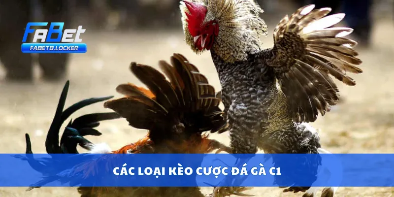 Đá Gà C1 – Sân Chơi Cựa Sắt Căng Thẳng, Đặt Cược Cực Nét 3 Các loại kèo cược đá gà C1