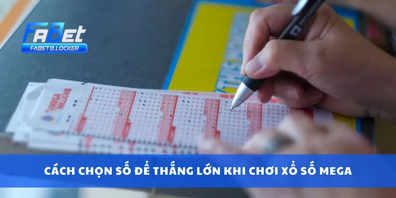 Xổ Số Mega – Hướng Dẫn Chơi, Dò Số Và Nhận Thưởng Nhanh 4 Cách chọn số để thắng lớn khi chơi xổ số mega