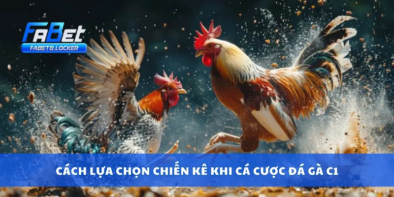 Đá Gà C1 – Sân Chơi Cựa Sắt Căng Thẳng, Đặt Cược Cực Nét 4 Cách lựa chọn chiến kê khi cá cược đá gà C1