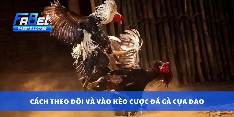 Đá Gà Cựa Dao – Trận Chiến Khốc Liệt, Ăn Tiền Từng Giây 3 Cách theo dõi và vào kèo cược đá gà cựa dao