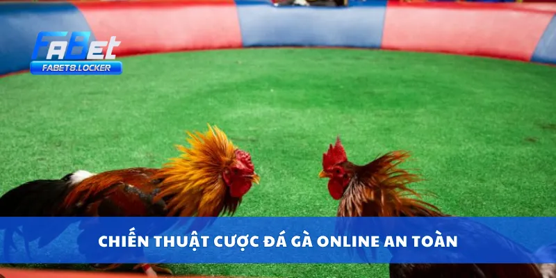 Đá Gà Online – Xem Live, Cược Trực Tuyến, Nhận Thưởng Nhanh 4 Chiến thuật cược đá gà online an toàn