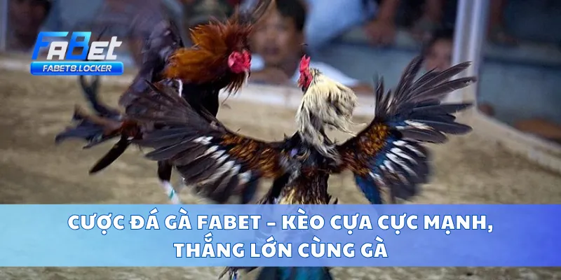 Cược Đá Gà Fabet – Kèo Cựa Cực Mạnh, Thắng Lớn Cùng Gà