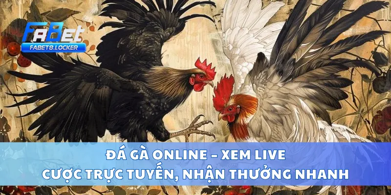 Đá Gà Online – Xem Live, Cược Trực Tuyến, Nhận Thưởng Nhanh