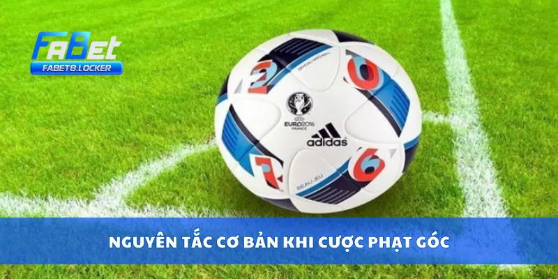 Cược Phạt Góc – Mẹo Bắt Kèo Góc Cực Chuẩn Dễ Ăn Nhất 2 Nguyên tắc cơ bản khi cược phạt góc