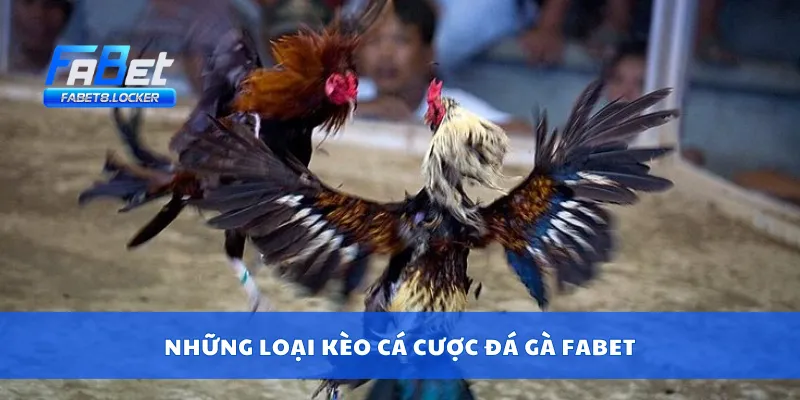 Những loại kèo cá cược đá gà Fabet