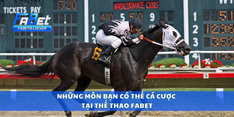 Những môn bạn có thể cá cược tại thể thao Fabet