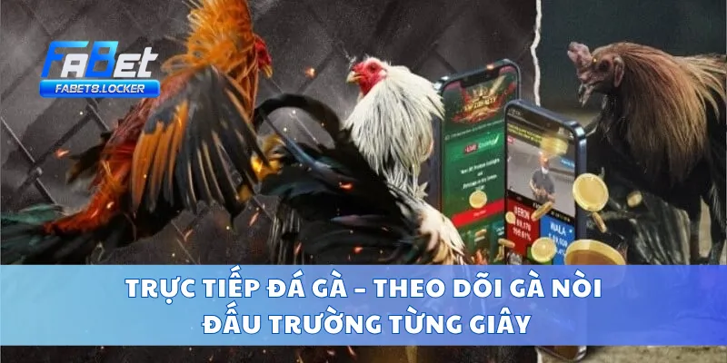 Trực Tiếp Đá Gà – Theo Dõi Gà Nòi Đấu Trường Từng Giây