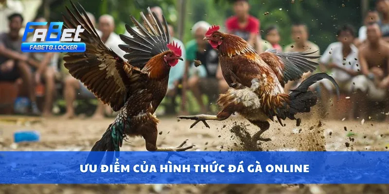 Đá Gà Online – Xem Live, Cược Trực Tuyến, Nhận Thưởng Nhanh 2 Ưu điểm của hình thức đá gà online